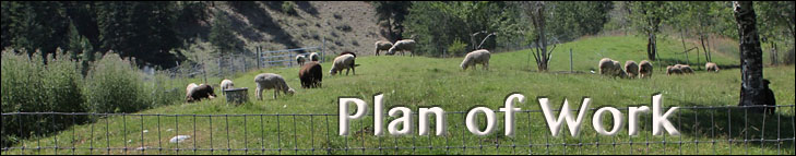 Plan of Work