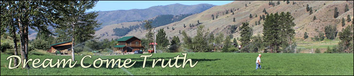 dream come truth - photo of man in alfalfa field