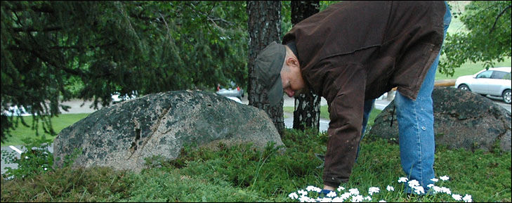 photo of john thomson bending over tending plants in sun mountain garden