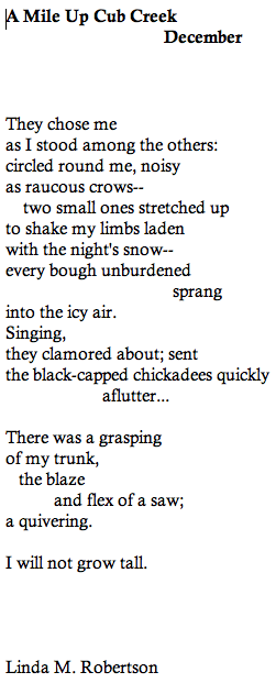 they chose me as i stood among the others circled round me noisy as raucous crows two small ones stretched up to shake my limbs laden with the nights snow every bough unburdened sprang into the icy air singing they clamored about sent the black capped chickadees quickly aflutter there was a grasping of my trunk the blaze and flex of a saw a quivering i will not grow tall
